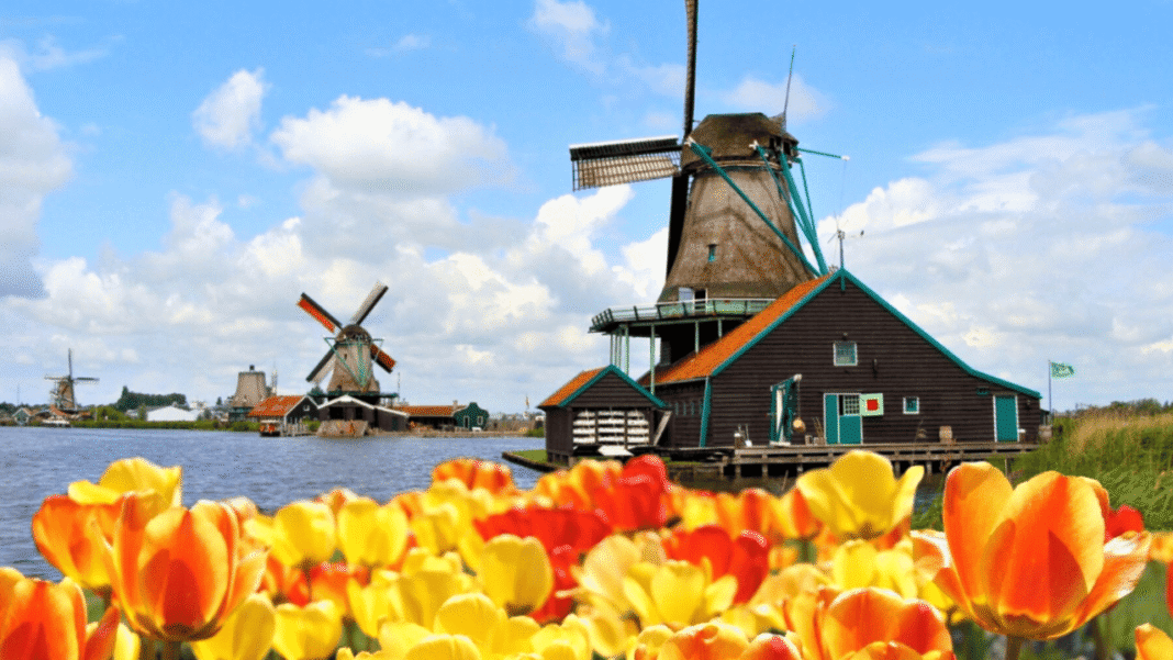 Cối Xay Gió Molen De Adriaan