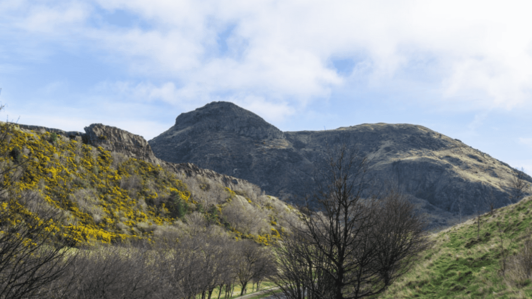 Công viên Holyrood