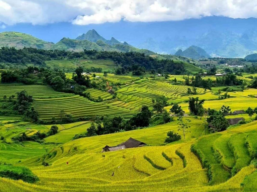 Top 9 Địa Điểm Du Lịch Lai Châu