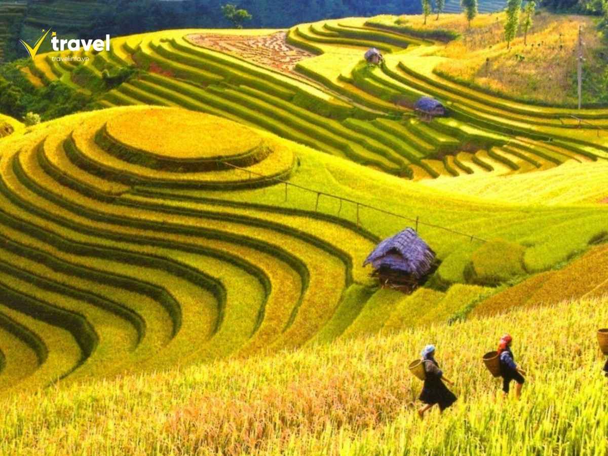 Top 9 Địa Điểm Du Lịch Lai Châu
