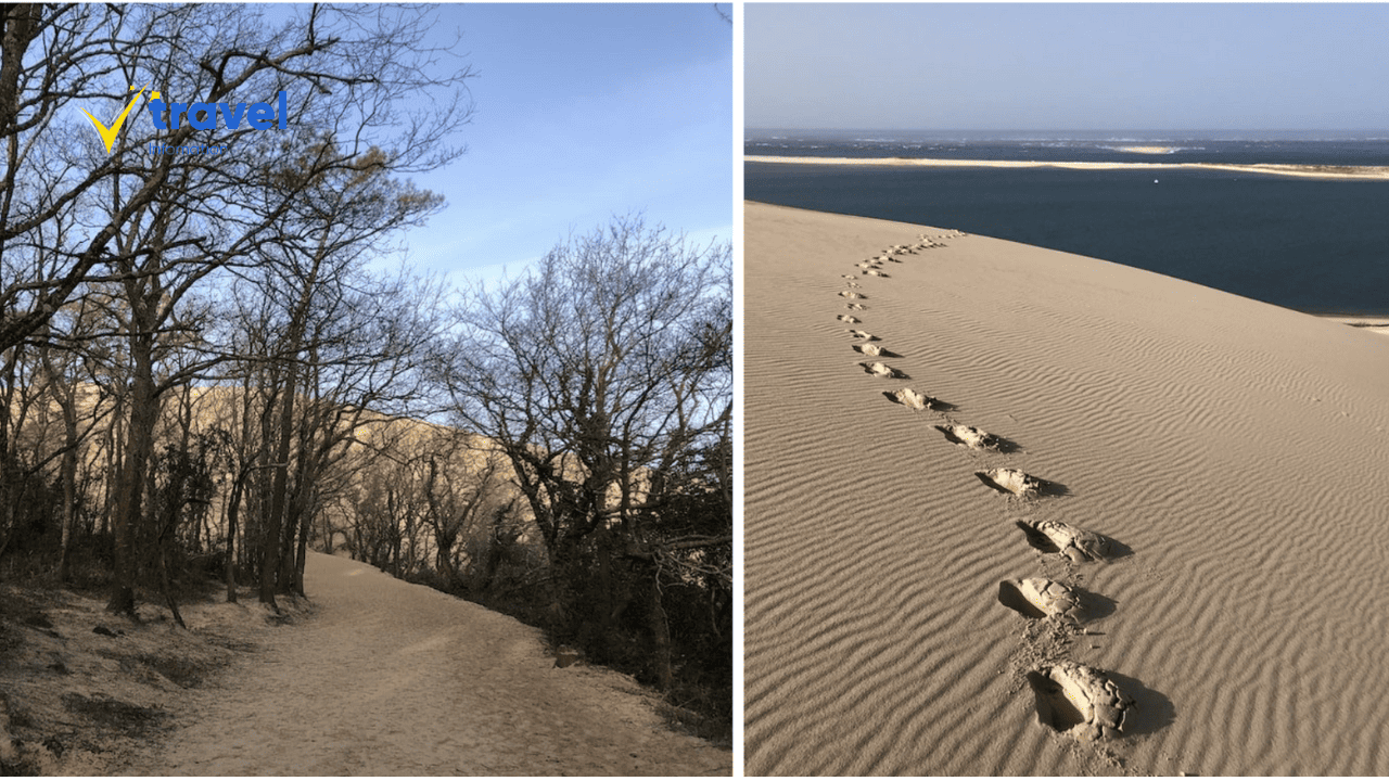 Trải Nghiệm Đáng Nhớ Khi Ghé Thăm Dune du Pilat