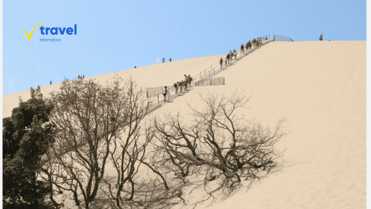 Dune du Pilat: Một Điểm Đến Tuyệt Vời Cho Mọi Du Khách