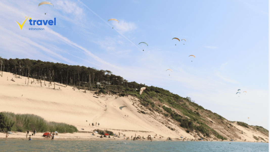 Dune - Cồn Cát Lớn Nhất Châu Âu