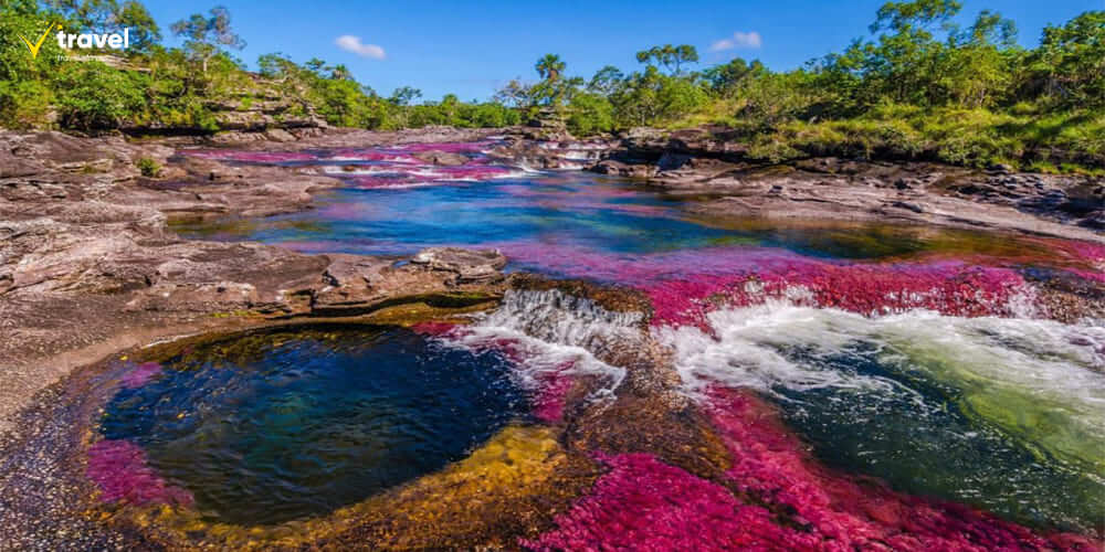 Dòng sông cầu vồng Caño Cristales – Kỳ quan ngũ sắc giữa rừng Amazon