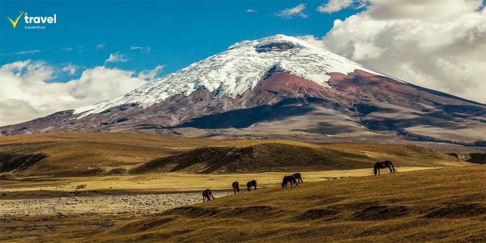 Cotopaxi và Cajas – Những kỳ quan thiên nhiên của dãy Andes