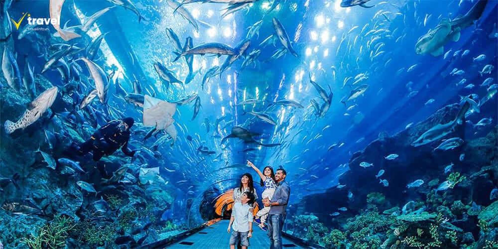 Dubai Aquarium & Underwater Zoo – Dưới Lòng Biển Ngay Tại Dubai Mall