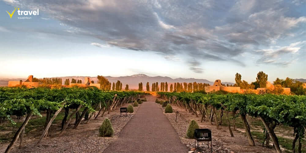 Mendoza – Thiên đường rượu vang của Argentina