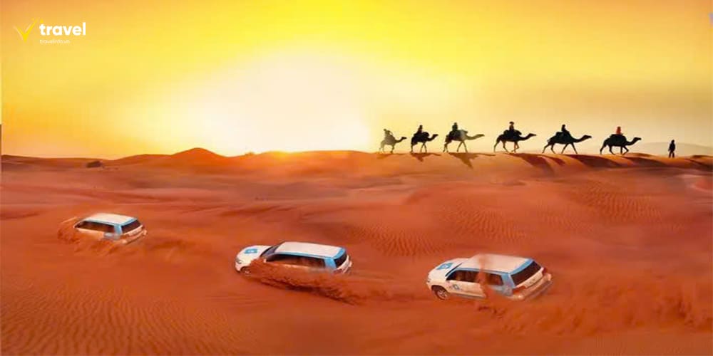 Safari Sa Mạc Dubai – Cuộc Phiêu Lưu Giữa Biển Cát