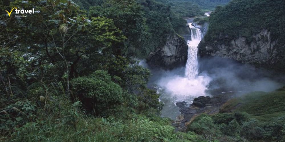 Tena – Cửa ngõ vào rừng rậm Amazon Ecuador