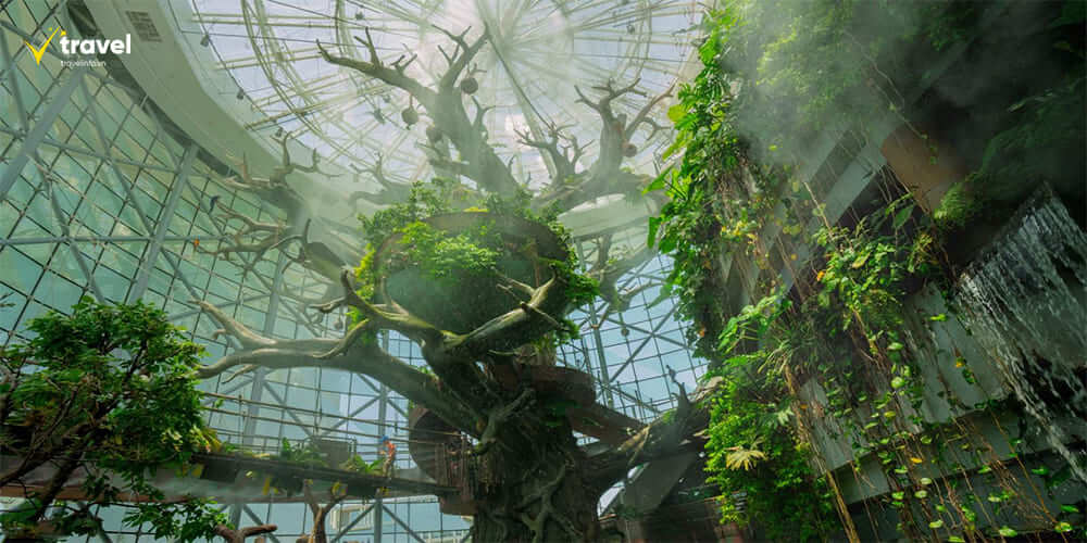 The Green Planet – Khu Rừng Nhiệt Đới Giữa Lòng Sa Mạc