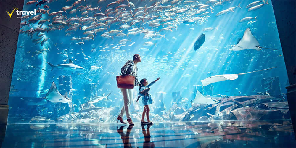The Lost Chambers Aquarium – Khám Phá Thủy Cung Huyền Thoại