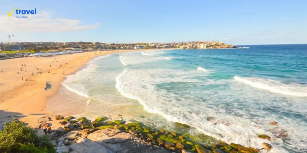 Bãi Biển Bondi – Biểu Tượng Du Lịch Sydney