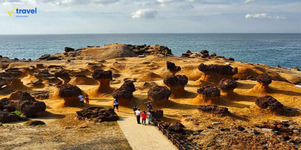 Công Viên Địa Chất Dã Liễu (Yehliu Geopark) – Tác Phẩm Điêu Khắc Từ Thiên Nhiên