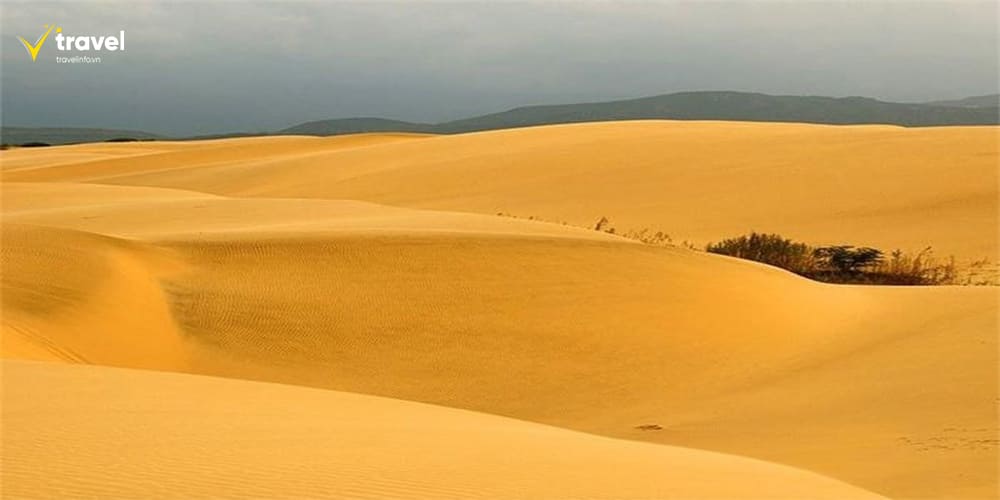 Công viên quốc gia Los Médanos de Coro – Sa mạc cát kỳ ảo giữa lòng Nam Mỹ