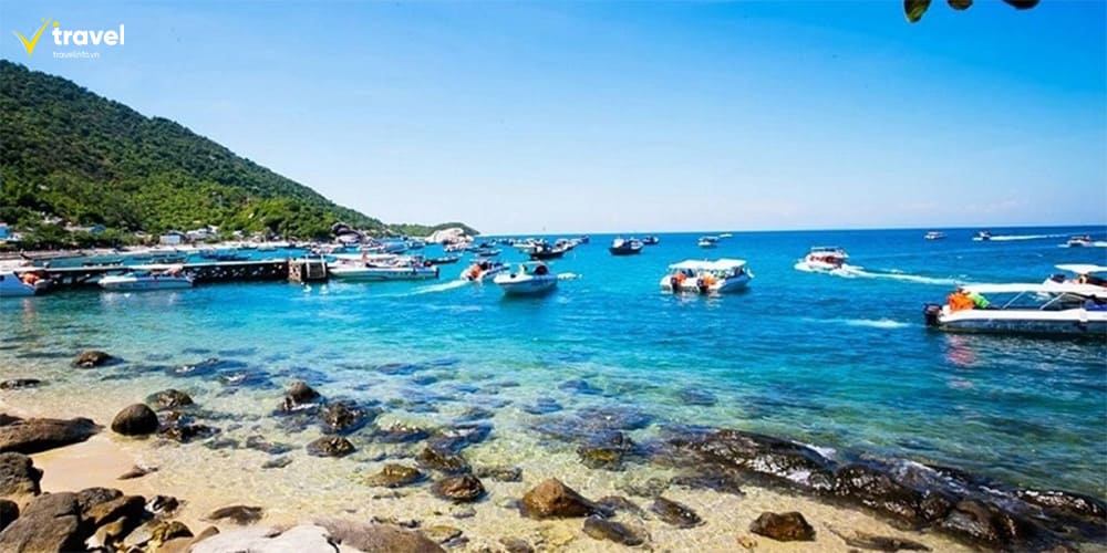 Cù Lao Chàm – Thiên đường sinh thái giữa lòng biển khơi