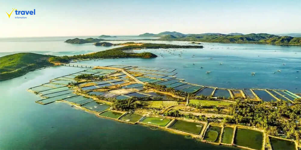 Đầm Ô Loan: Khung Cảnh Thiên Nhiên Thơ Mộng