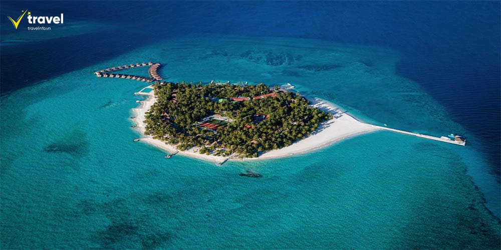 Đảo Alimatha – Đêm lặn kỳ diệu giữa lòng Maldives