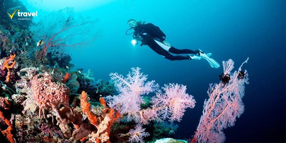 Đảo Bunaken – Thiên đường lặn biển