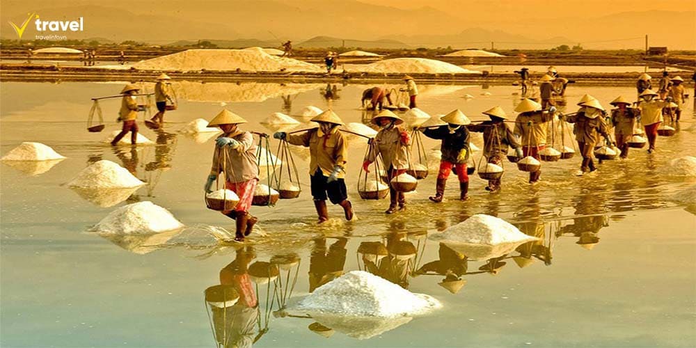 Cánh đồng muối Sa Huỳnh – Nơi kết tinh từ biển cả