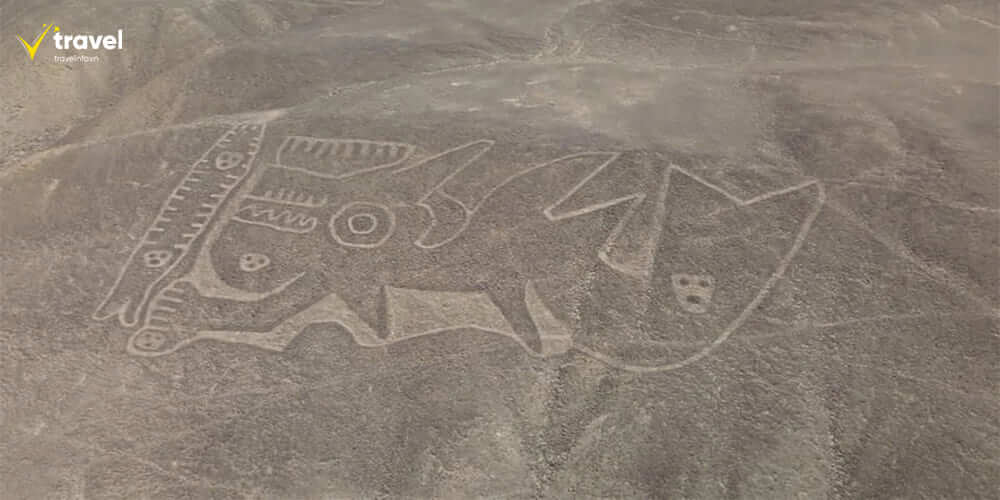 Hình vẽ Nazca – Bí ẩn chưa lời giải giữa sa mạc