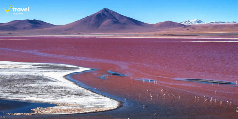 Hồ Laguna Colorada – Vẻ đẹp rực đỏ giữa lòng cao nguyên