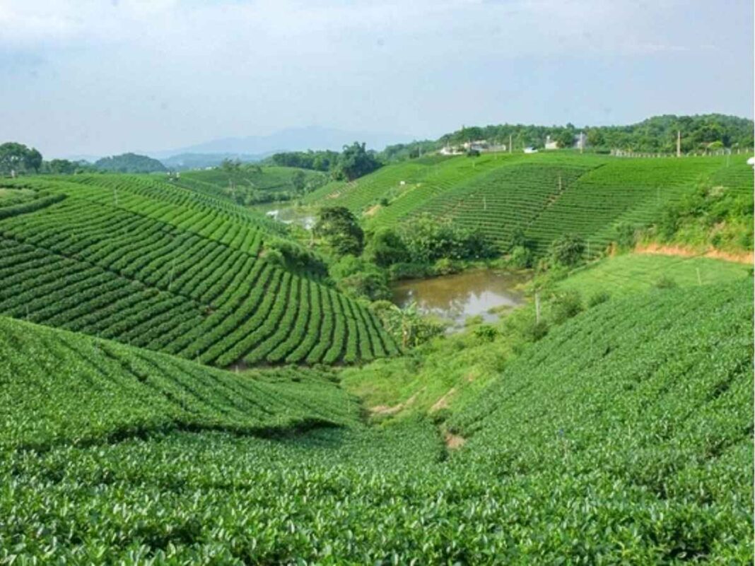 Khám Phá 12 Địa Điểm Du Lịch Thái Nguyên Hấp Dẫn