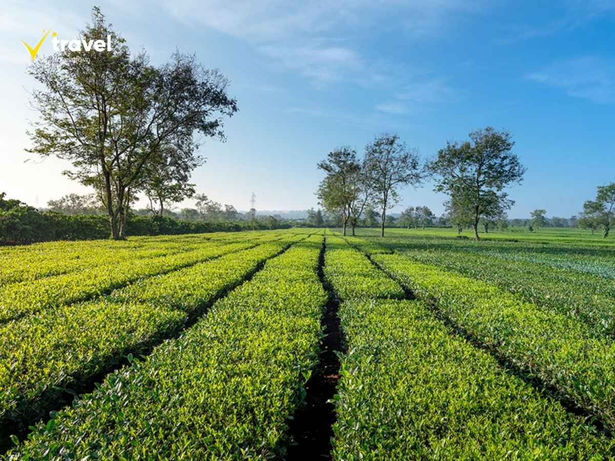 Khám Phá 16 Địa Điểm Du Lịch Gia Lai Hấp Dẫn