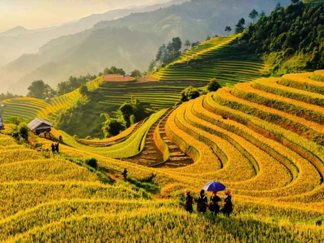 Khám Phá 8 Điểm Đến Du Lịch Yên Bái