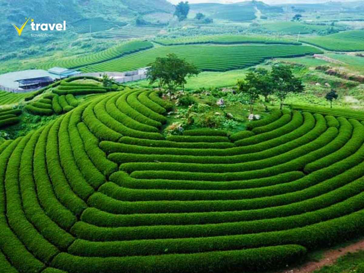 Khám Phá Du Lịch Sơn La