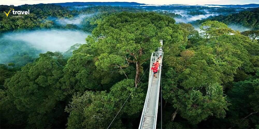 Khu bảo tồn rừng mây Monteverde – Chốn bồng lai giữa tầng mây