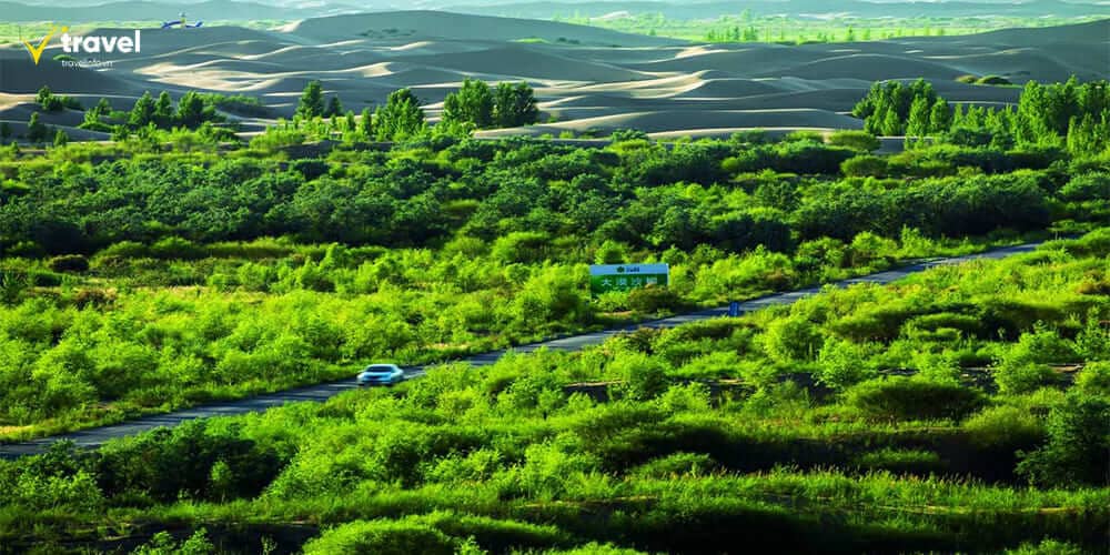 Khu bảo tồn thiên nhiên Kubuqi – "Ốc đảo xanh" giữa sa mạc