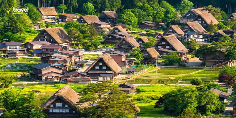 Làng cổ Shirakawa-go & Gokayama – Vẻ đẹp mộc mạc giữa núi rừng