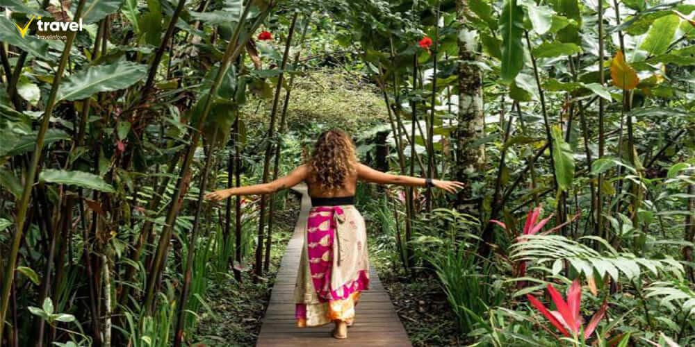Trải nghiệm các hoạt động tại nông trại cacao La Loma