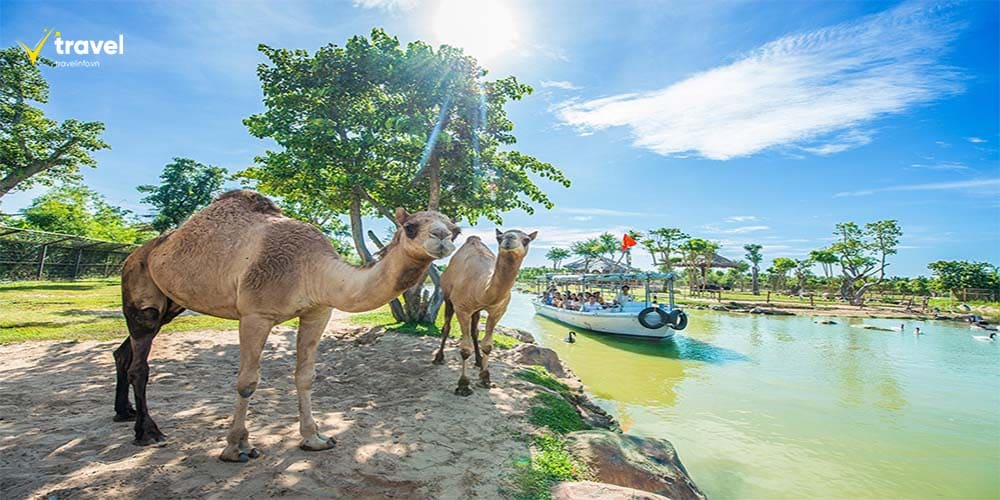 River Safari – Trải nghiệm sông nước với động vật hoang dã