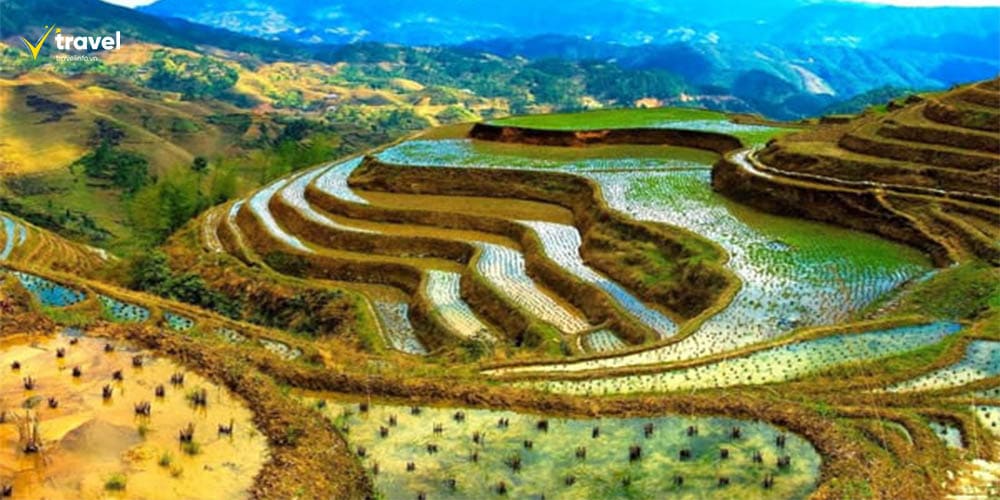 Ruộng bậc thang Banaue – Tuyệt tác thiên nhiên và con người tại Philippines