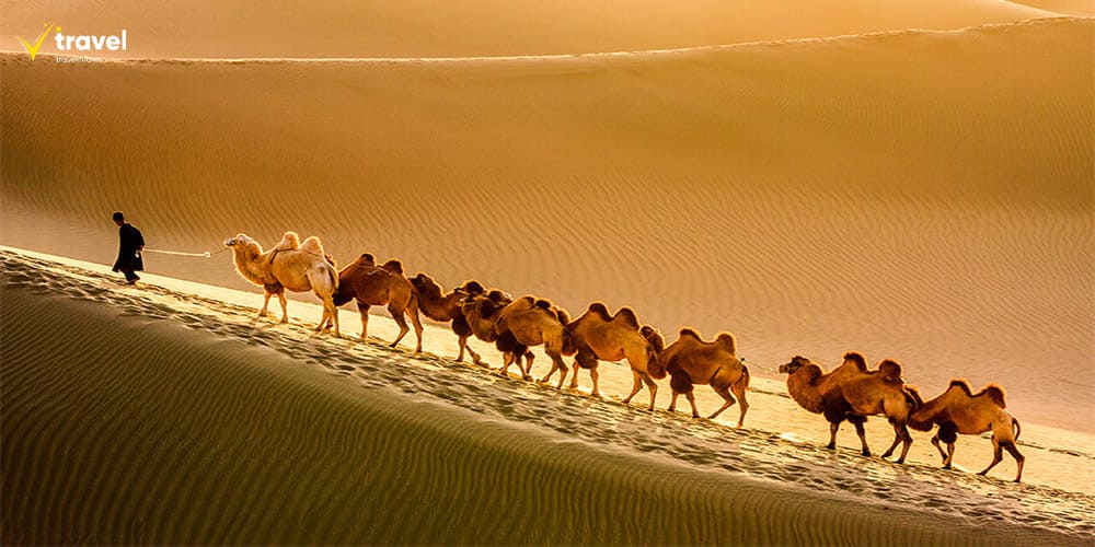 Sa mạc Gobi – Vùng đất kỳ quan và dấu tích thời tiền sử