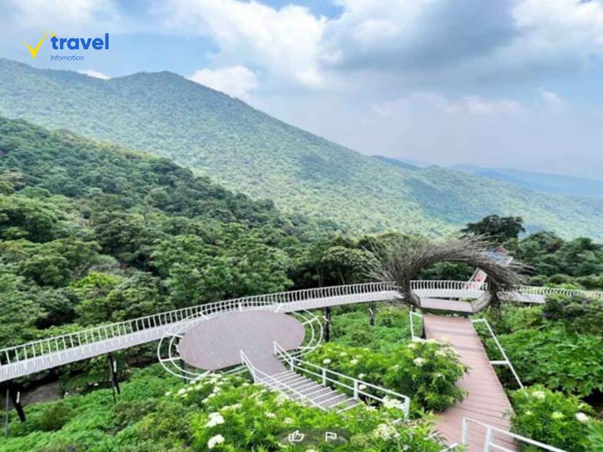 Tam Đảo: 10 Địa Điểm Tham Quan Mà Bạn Không Thể Bỏ Qua
