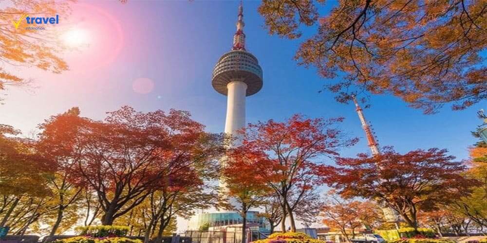 Tháp N Seoul (Namsan) – Biểu tượng tình yêu lãng mạn của Hàn Quốc