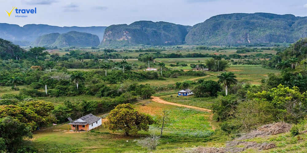 Thung lũng Viñales – Vẻ đẹp bình dị của miền quê Cuba