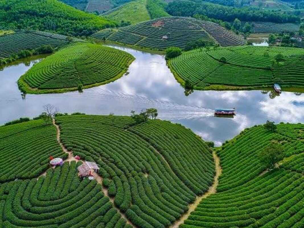 Top 17 Điểm Đến Du Lịch Nghệ An Không Thể Bỏ Lỡ