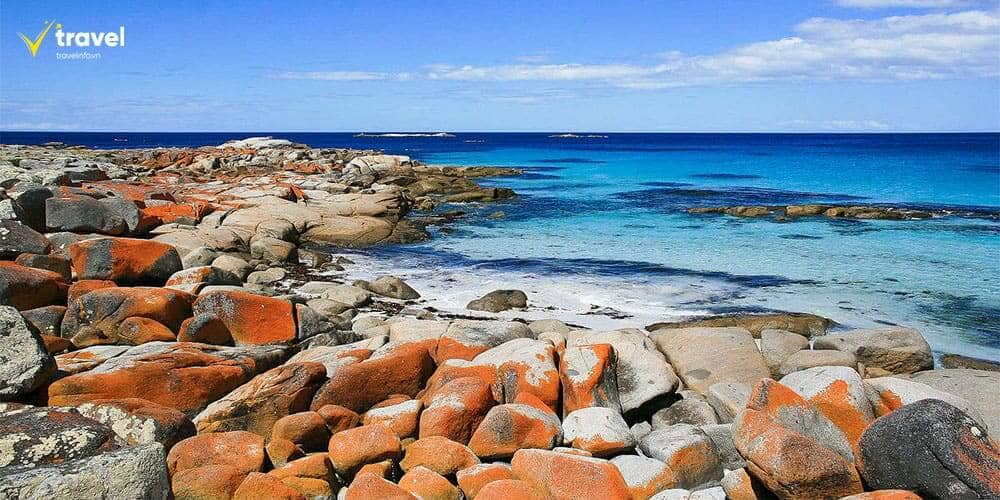 Vịnh Lửa, Tasmania – Nơi Thiên Nhiên Hoang Sơ Gặp Gỡ