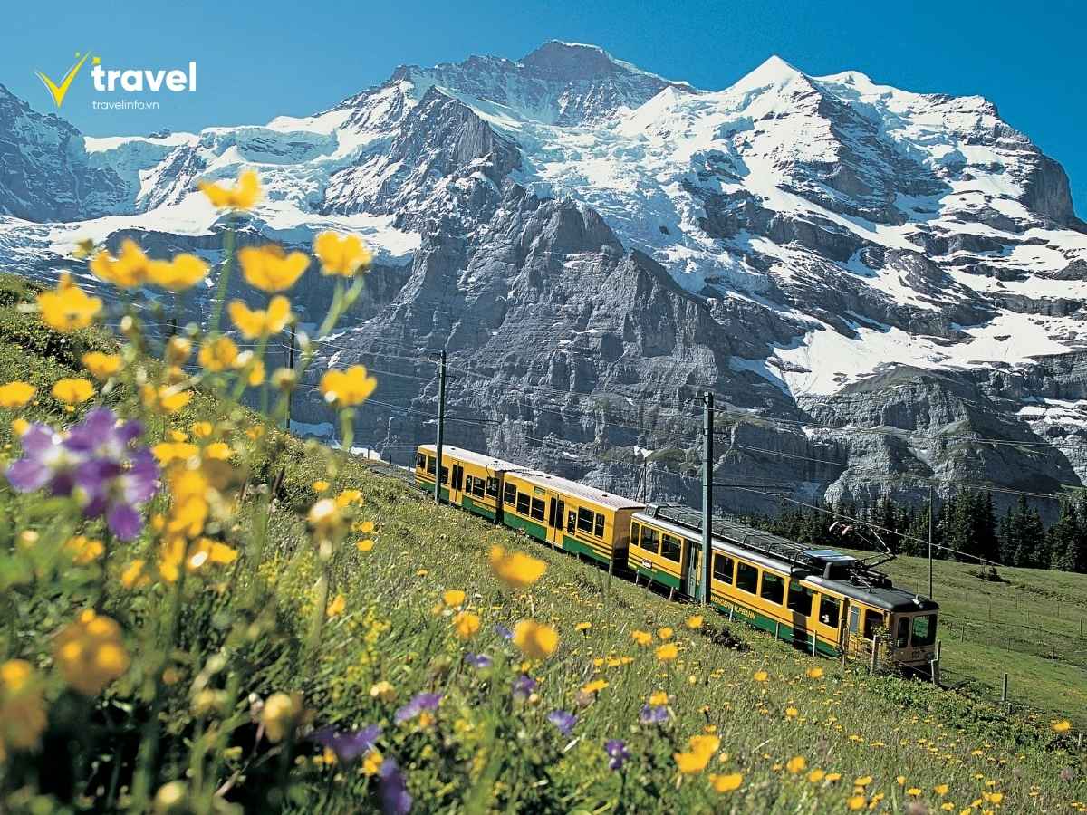 Vùng Jungfrau