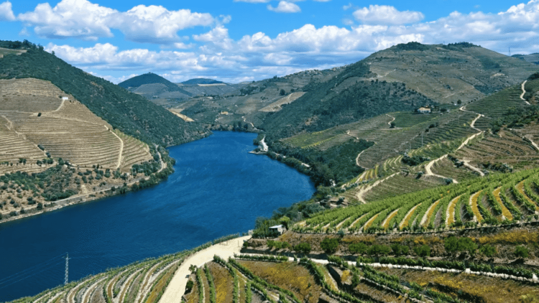 Thung Lũng Douro