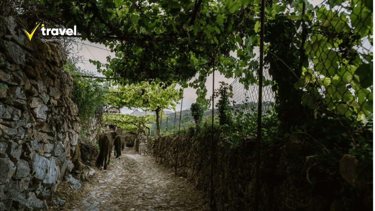 Vườn Quốc Gia Parque Nacional Peneda - Gerês 