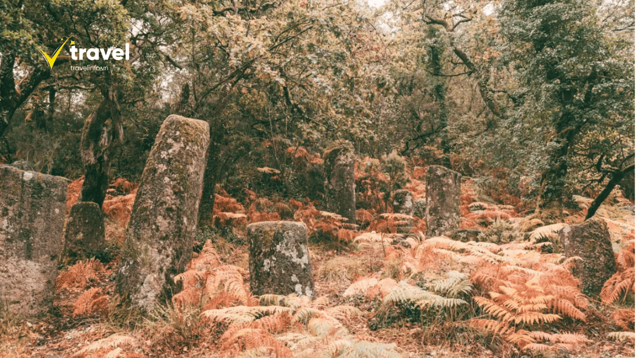 Hệ Sinh Thái Phong Phú