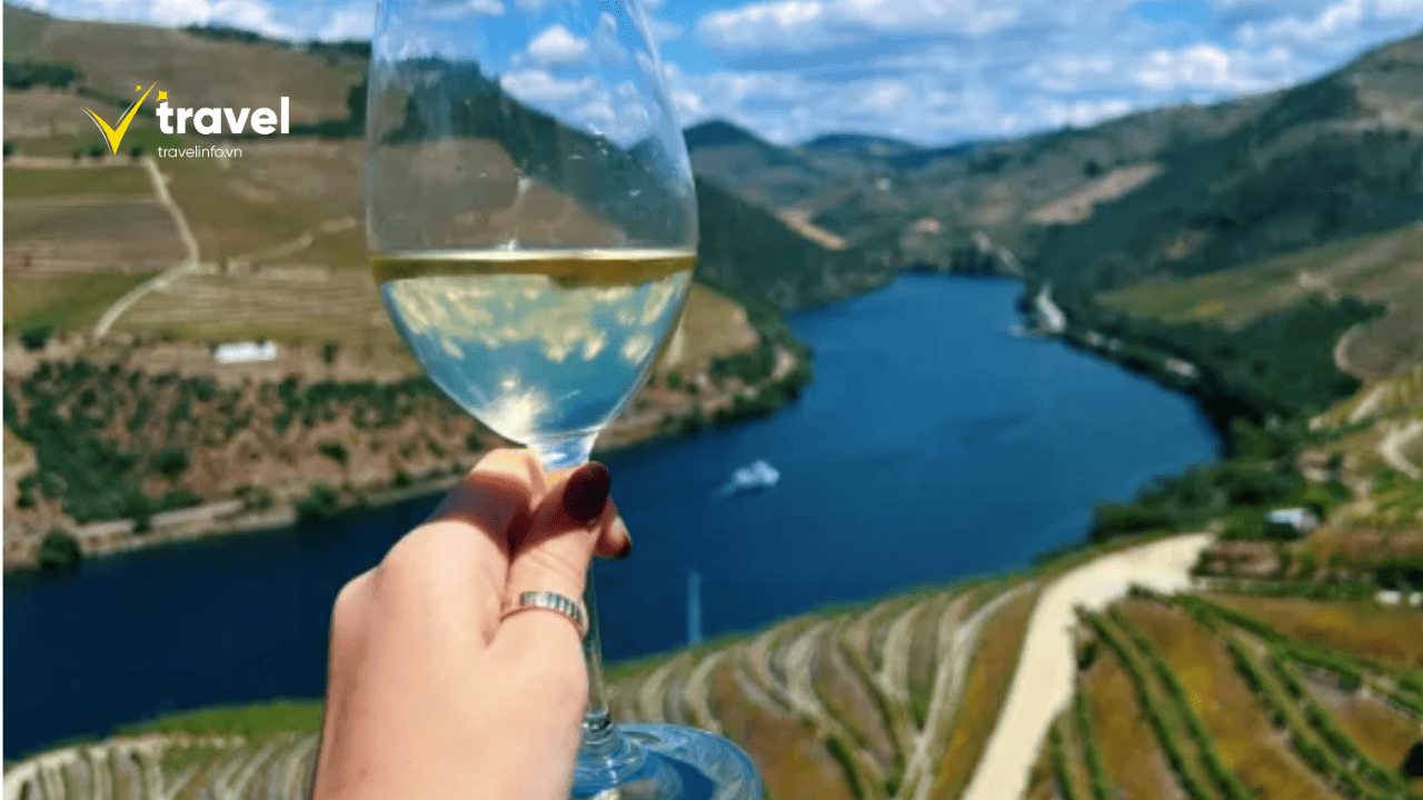 Thung Lũng Douro nơi sản xuất nhiều loại rượu vang