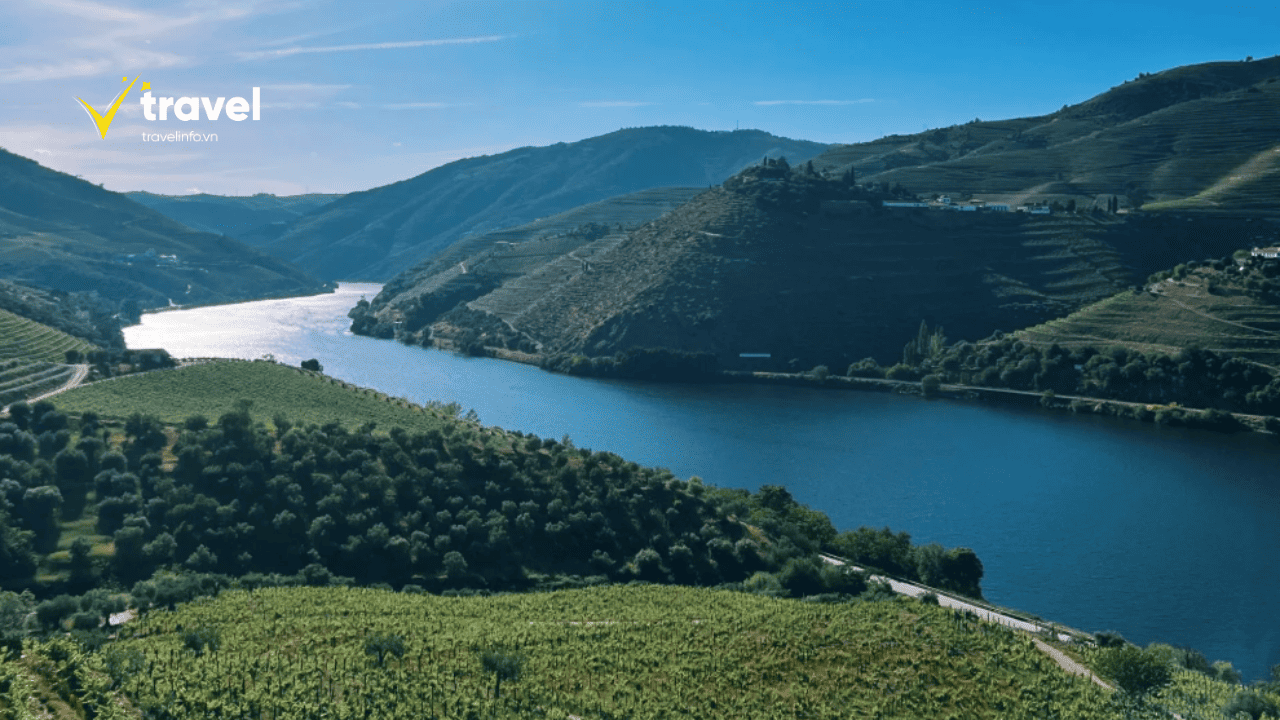 Du Ngoạn Trên Sông Douro