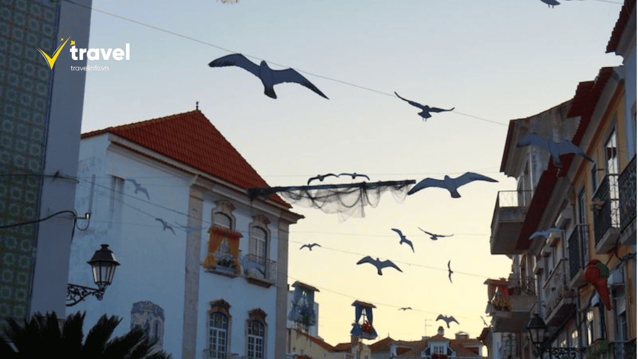 Ở tại khu vực gần Avenida Luísa Todi là lựa chọn tốt nhất