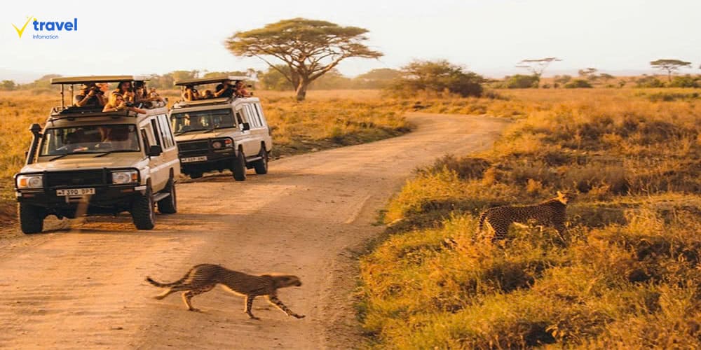 Kenya – Thiên đường của các chuyến safari