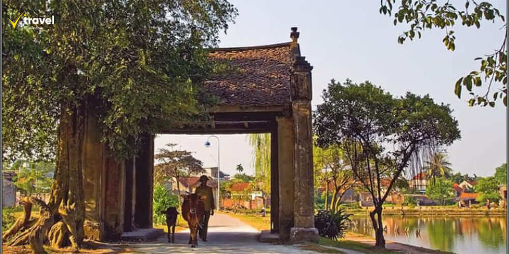 Cổng Làng Mông Phụ – Biểu Tượng Của Sự Cổ Kính Và Hoài Niệm